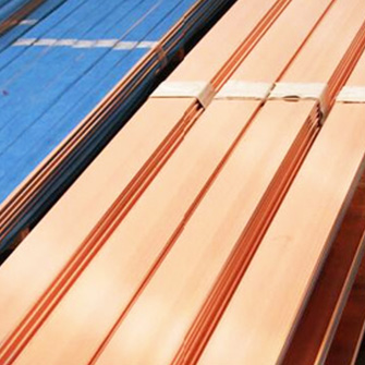 Copper Clad Steel Flat